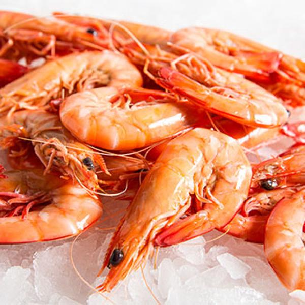 Fresh Raw Prawns | Premium Quality Shrimp for Cooking & Seafood Recipes